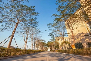 北京師范大學珠海分校附屬外國語學校國際部校園內