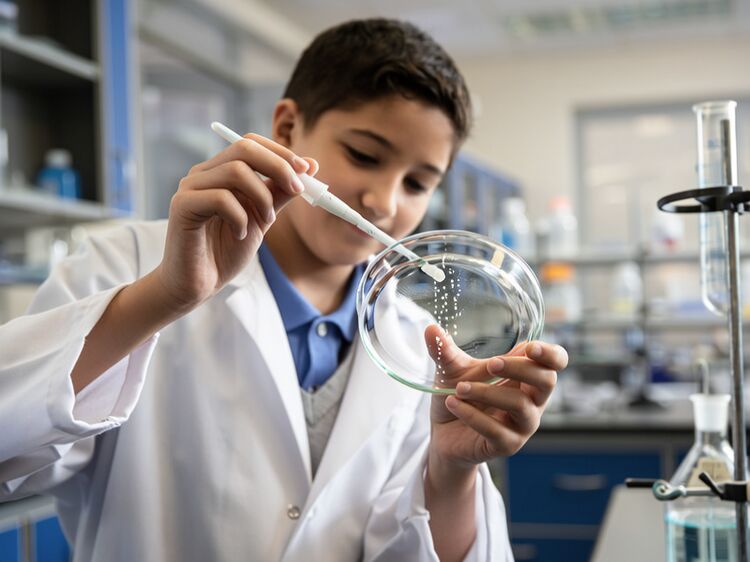 愛迪國際學校在哪